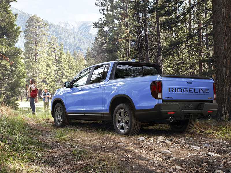 Empowering Your Midland Honda Repair Choice at Zenetec